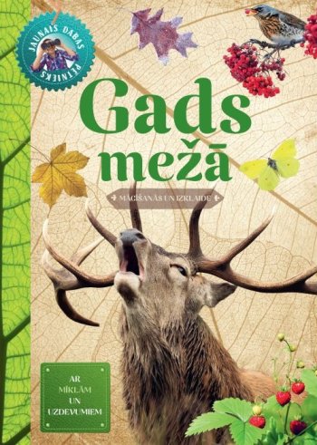 gads mežā. Mazais dabas pētnieks
