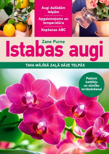 Istabas augi