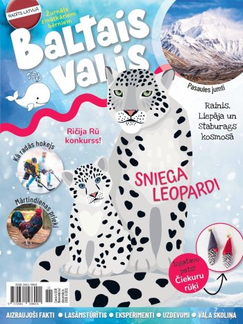 Baltais valis 30  2025 novembris / decembris