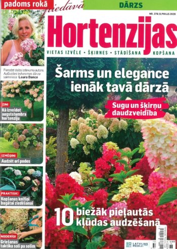Hortenzijas. Padoms rokā