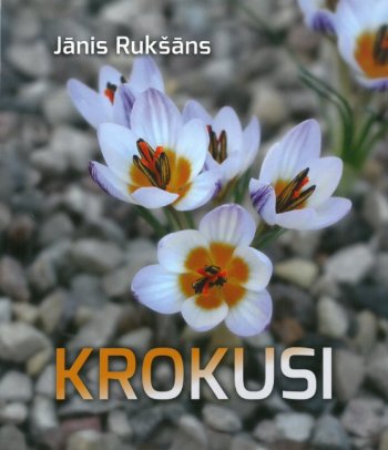 Krokusi