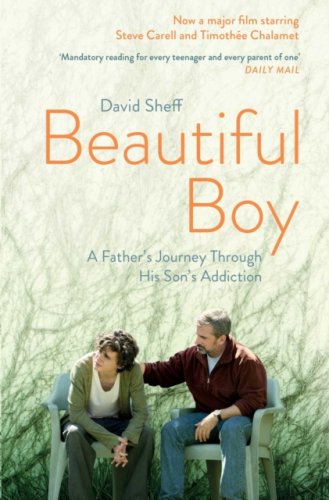 Beautiful Boy : A Father's Journey Through His Son's Addiction