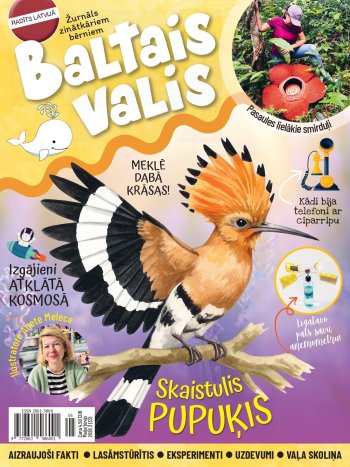 Baltais valis Maijs/ Jūnijs 2026