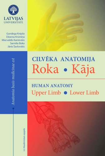 Cilvēka anatomija. Roka. Kāja